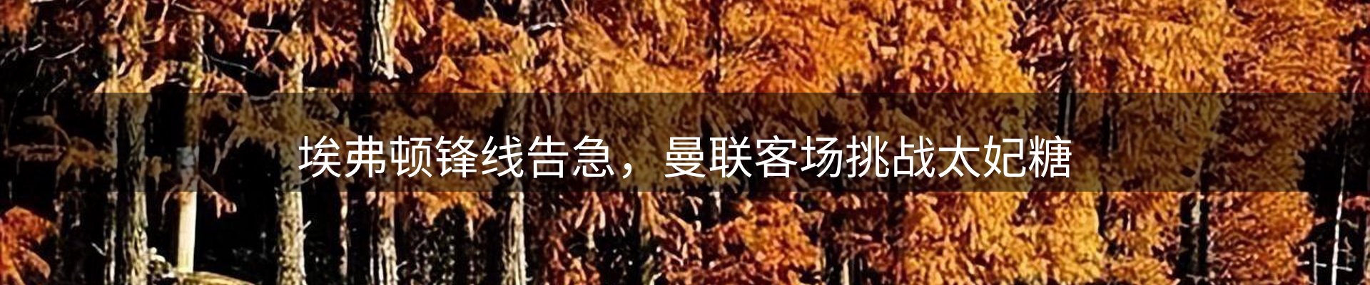 热点探析